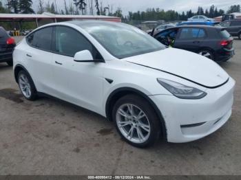  Salvage Tesla Model Y