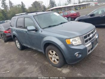  Salvage Ford Escape