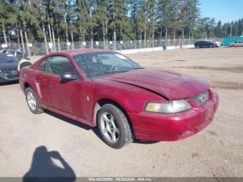  Salvage Ford Mustang