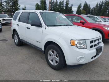  Salvage Ford Escape