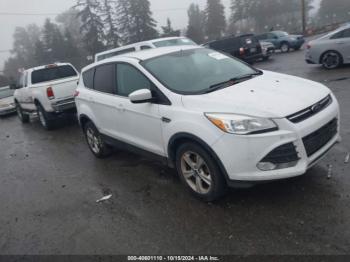  Salvage Ford Escape