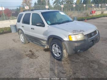  Salvage Ford Escape