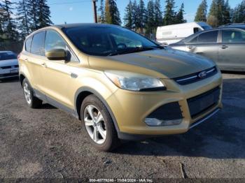  Salvage Ford Escape