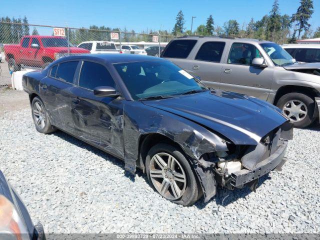  Salvage Dodge Charger