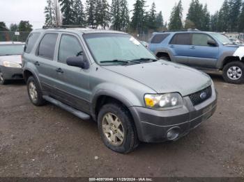  Salvage Ford Escape