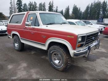  Salvage Ford Bronco