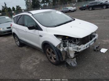  Salvage Ford Escape