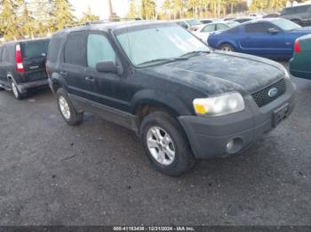  Salvage Ford Escape