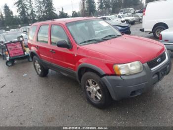  Salvage Ford Escape