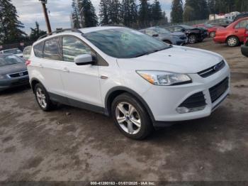  Salvage Ford Escape