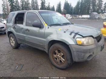  Salvage Ford Escape