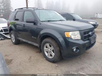  Salvage Ford Escape