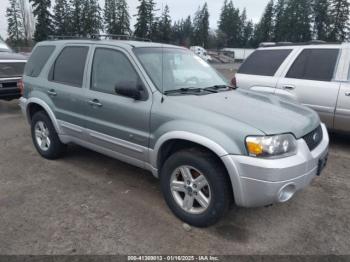  Salvage Ford Escape