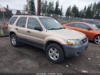  Salvage Ford Escape