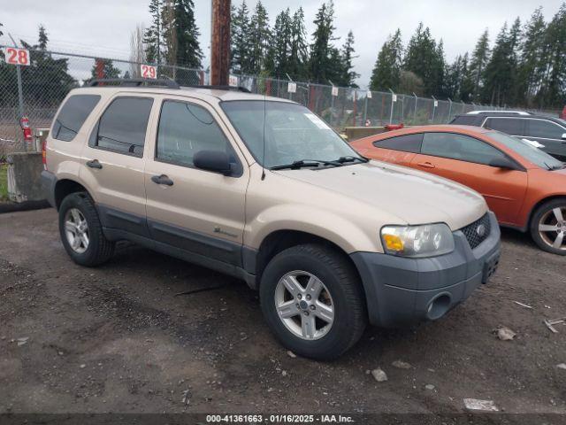  Salvage Ford Escape