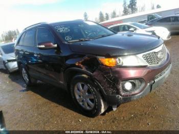  Salvage Kia Sorento