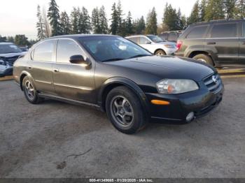  Salvage Nissan Maxima