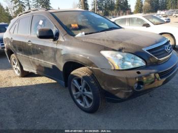  Salvage Lexus RX