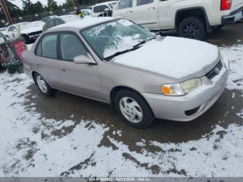  Salvage Toyota Corolla