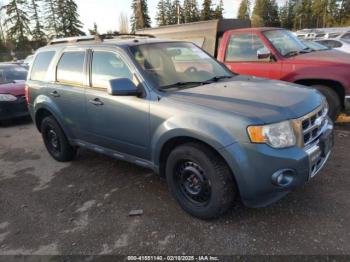  Salvage Ford Escape