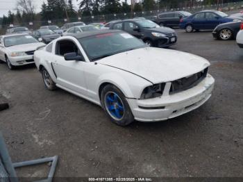  Salvage Ford Mustang