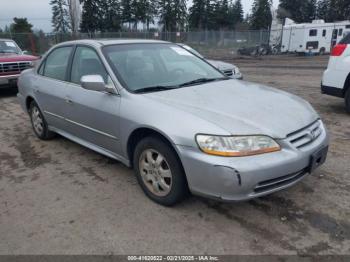  Salvage Honda Accord