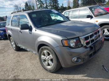  Salvage Ford Escape