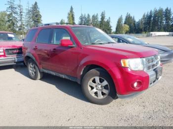  Salvage Ford Escape