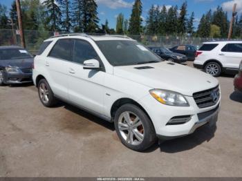  Salvage Mercedes-Benz M-Class