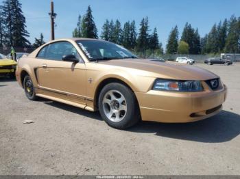  Salvage Ford Mustang