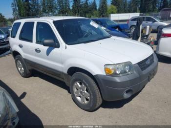  Salvage Ford Escape