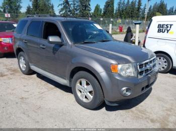  Salvage Ford Escape