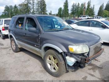  Salvage Ford Escape