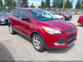  Salvage Ford Escape