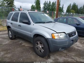  Salvage Ford Escape