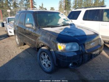  Salvage Ford Escape