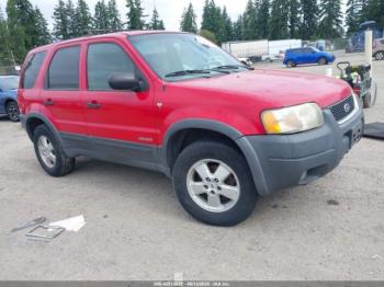  Salvage Ford Escape