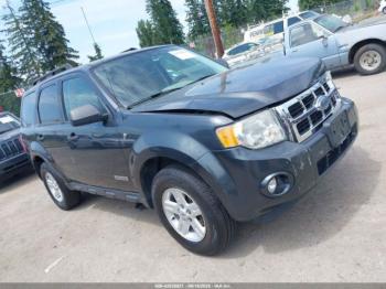  Salvage Ford Escape