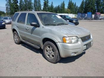  Salvage Ford Escape