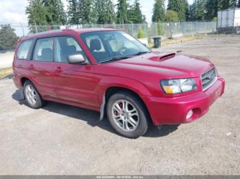  Salvage Subaru Forester