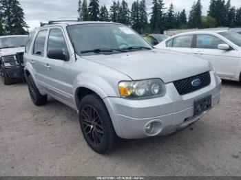  Salvage Ford Escape