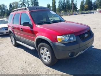  Salvage Ford Escape