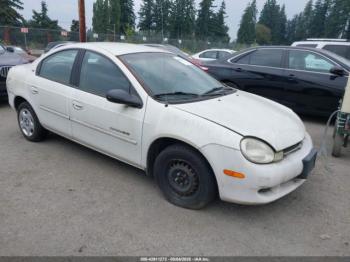  Salvage Dodge Neon