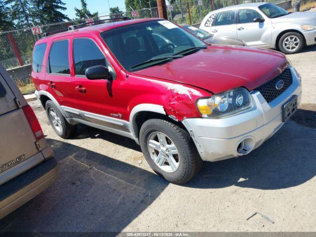  Salvage Ford Escape