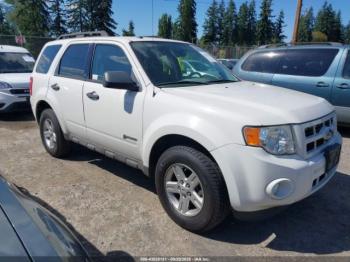  Salvage Ford Escape