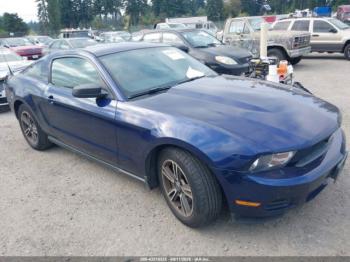  Salvage Ford Mustang