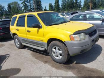  Salvage Ford Escape