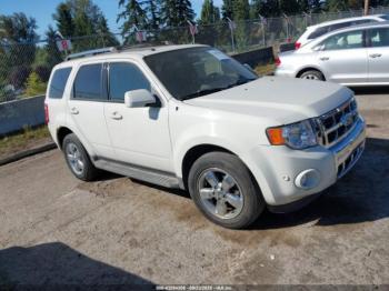  Salvage Ford Escape