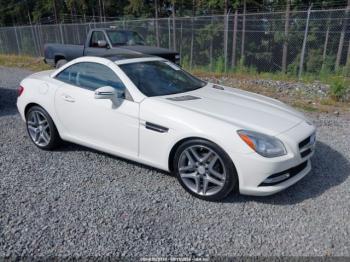  Salvage Mercedes-Benz Slk-class