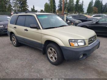  Salvage Subaru Forester